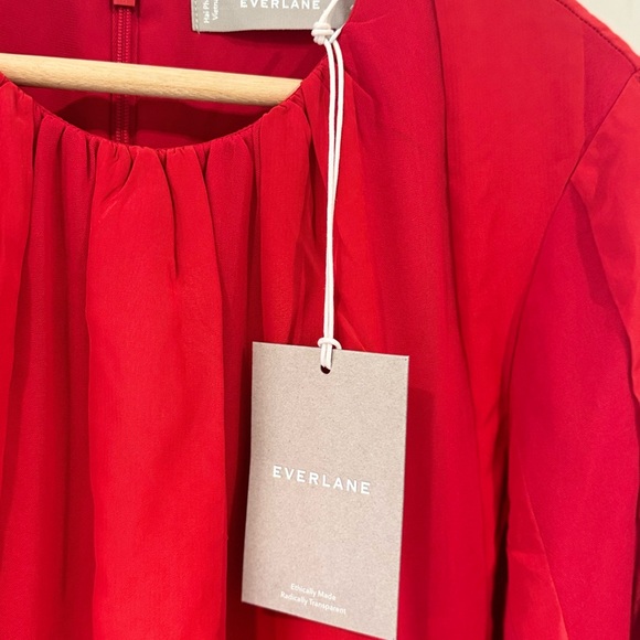 Everlane Red The City Stripe Ruched Dress - Picture 12 of 15